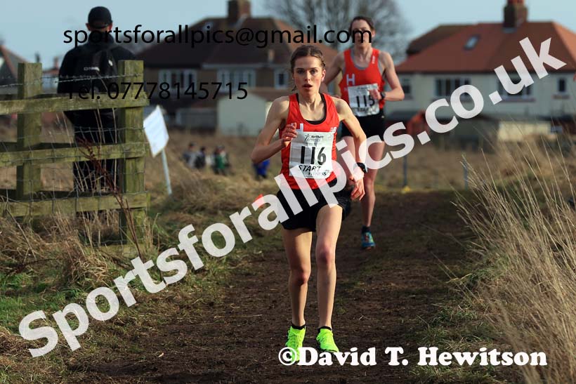 Senior Womens 2024 Northern Cross Country Champs., Sedgefield. Photo: David T. Hewitson/Sports for All Pics